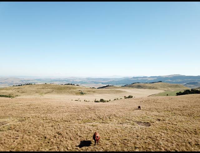 1,730HA FARM FOR SALE IN DARGLE